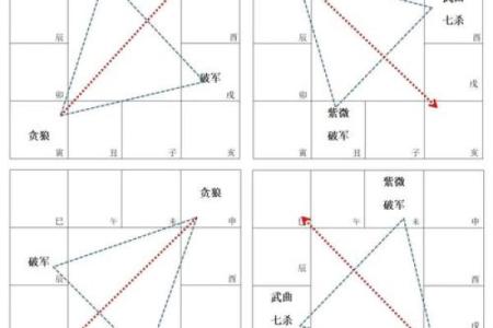 紫薇斗数贪狼化权