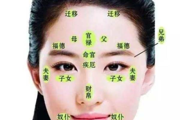 八字眉的女人命好不好风水解读 八字眉的女人命好不好风水解读