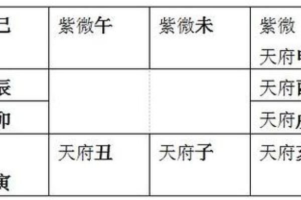 雪天紫薇斗数排盘软件 雪天紫薇斗数排盘软件