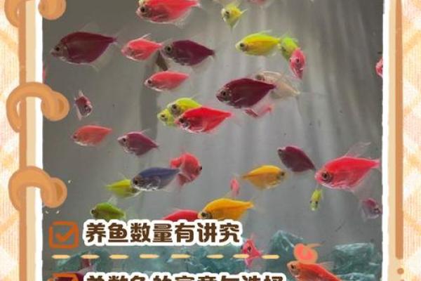 养鱼风水的忌讳有哪些呢 养鱼风水的忌讳有哪些呢