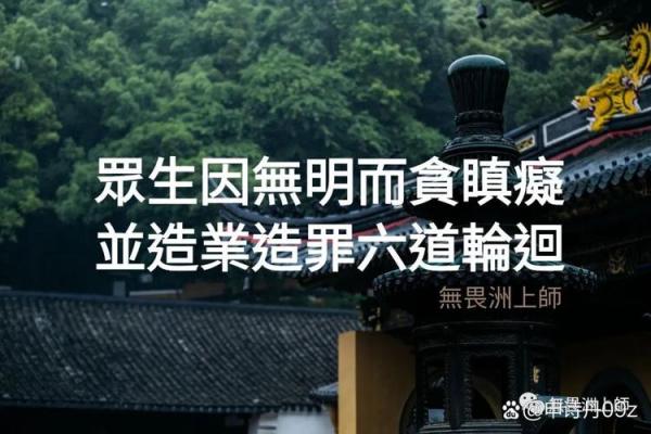 信佛者不可信算命 信佛者不可信算命