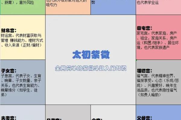 紫薇斗数怎么看考试 紫薇斗数怎么看考试