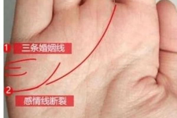 女人右手掌纹图解算命婚姻线 咋看女人右手的婚姻线 女人右手掌纹图解算命婚姻线 咋看女人右手的婚姻线