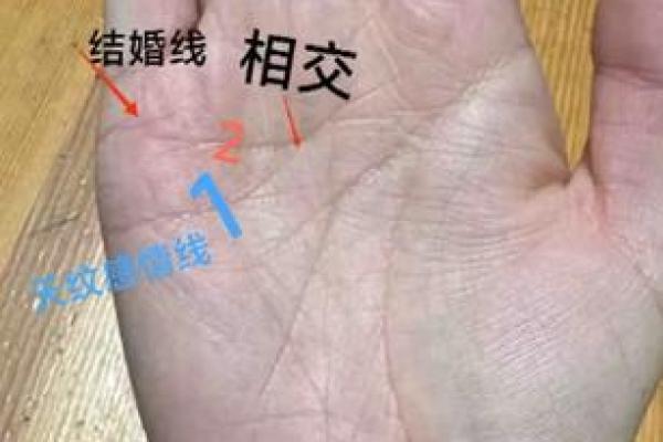 女人右手掌纹图解算命婚姻线 咋看女人右手的婚姻线 女人右手掌纹图解算命婚姻线 咋看女人右手的婚姻线