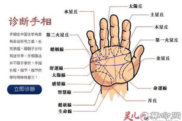 凯帝阿手相算命图解大全01 凯帝阿手相算命图解大全01