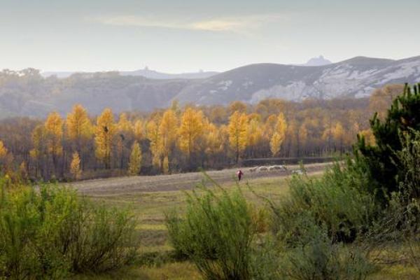 朔州算命 朔州算命