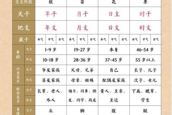 八字解析,八字解析及预测 八字解析,八字解析及预测