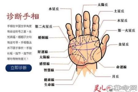 凯帝阿手相算命图解大全01
