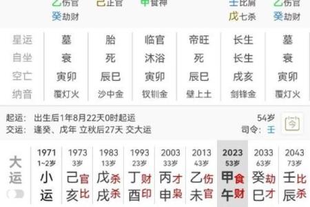 生辰八字之润下格,八字润下格什么意思