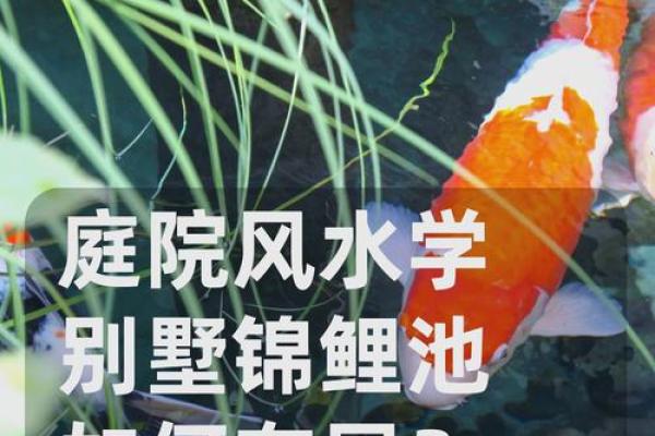 池塘填埋造房子风水 池塘填埋造房子风水