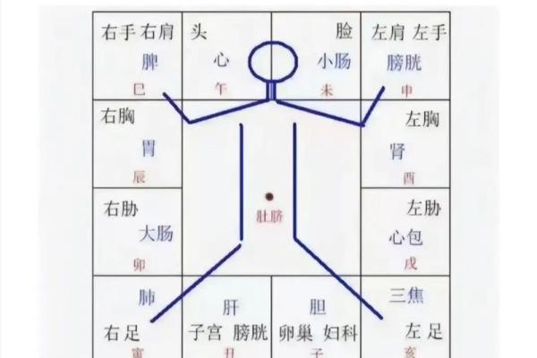紫薇斗数如何学 紫薇斗数如何学