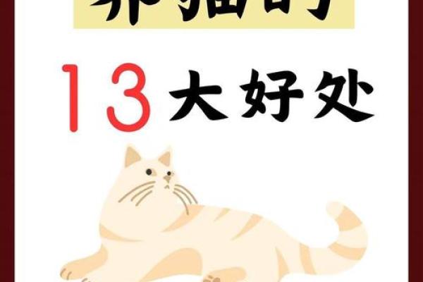 风水上哪几个生肖的人不能养猫禁忌 风水上哪几个生肖的人不能养猫禁忌
