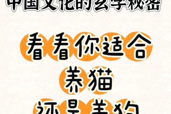 风水上哪几个生肖的人不能养猫禁忌 风水上哪几个生肖的人不能养猫禁忌