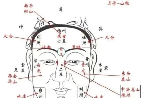 你的五官里，藏着你一生的风水