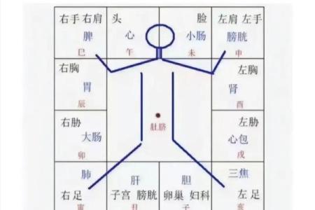 紫薇斗数如何学