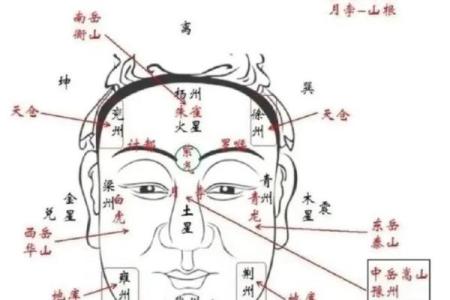 你的五官里，藏着你一生的风水