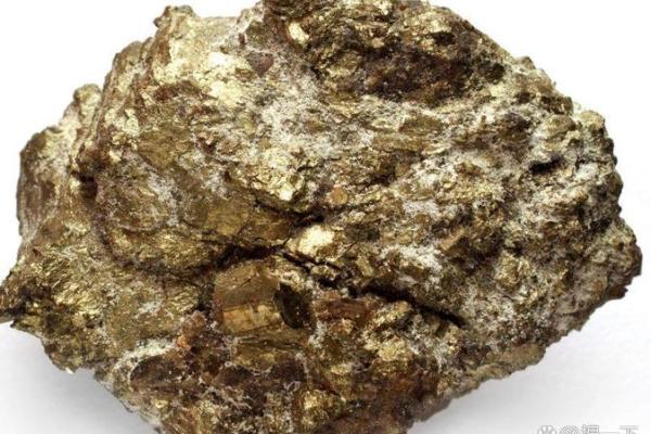 紫薇斗数家有黄金矿