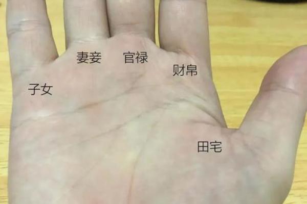 长寿密码八字诀