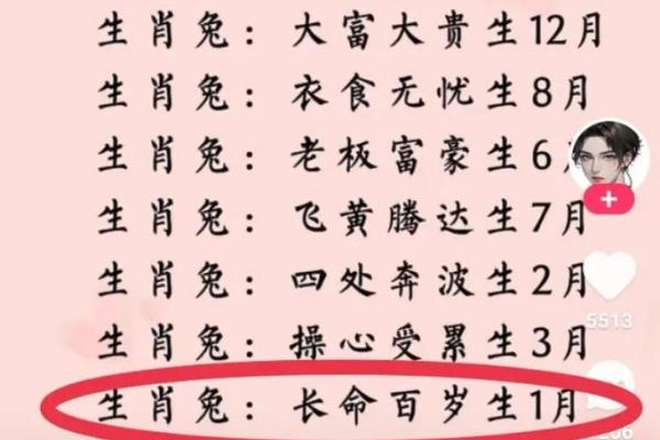 八字命理出林之兔是属于什么命 八字命理出林之兔是属于什么命