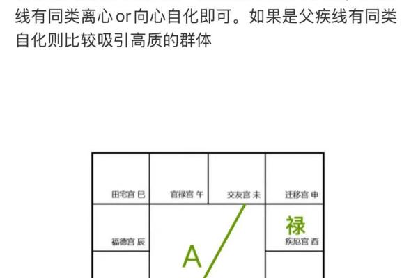 紫薇斗数看网红粉丝 紫薇斗数看网红粉丝