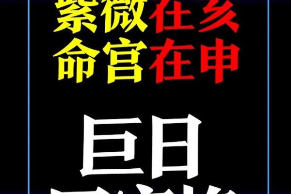 银行紫微斗数 紫微斗数经典格局？