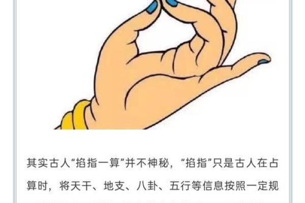 白鹤神数量指算命