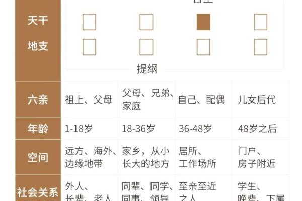 卜易居八字排盘