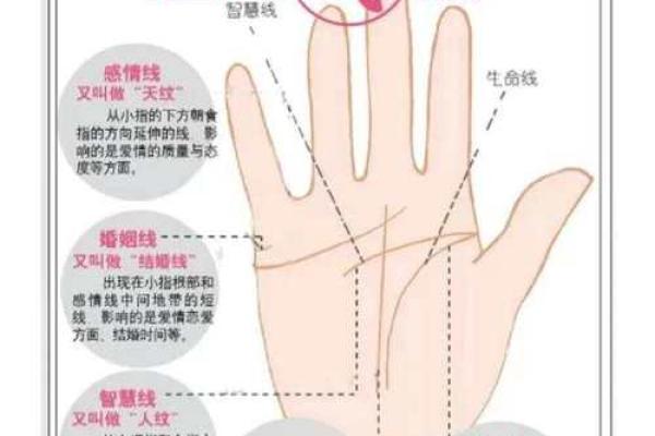 从手相和八字命理解读恋母情节