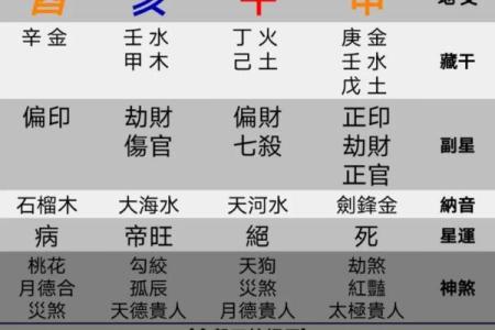 怎么看八字命盘,如何解读八字排盘
