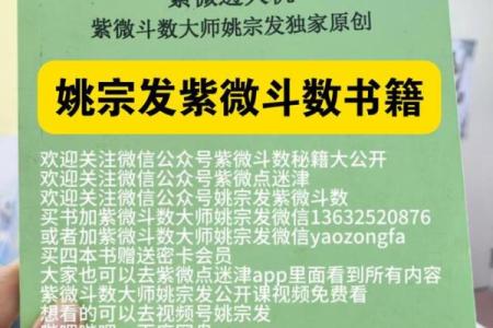 紫薇斗数案例书籍