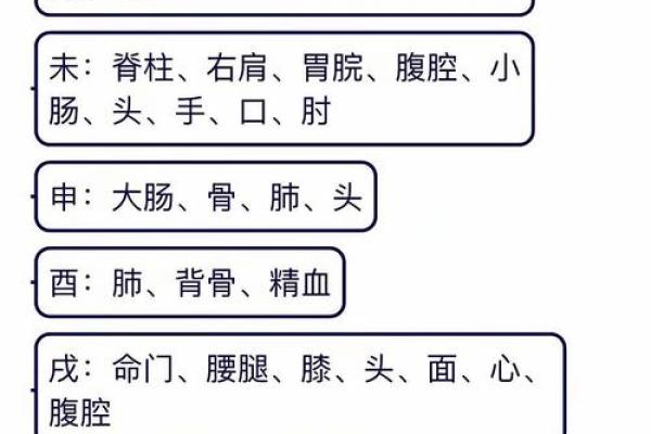 八字身旺财官现 八字身旺财官现
