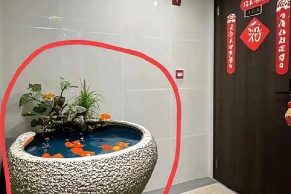 在鱼缸里盖房子好不好风水