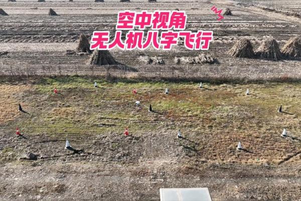 八字飞行 八字飞行