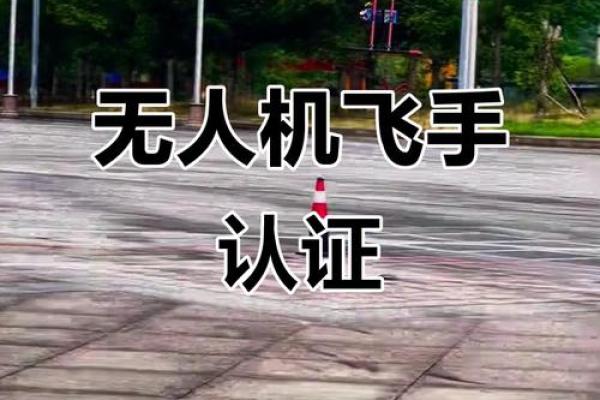 八字飞行 八字飞行