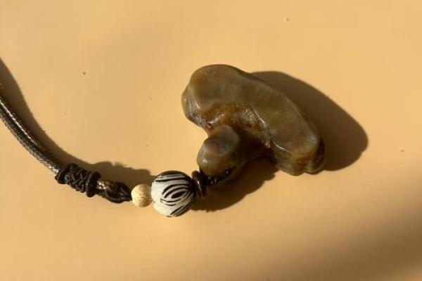 风水挂件_鹿骨饰品寓意 风水挂件_鹿骨饰品寓意