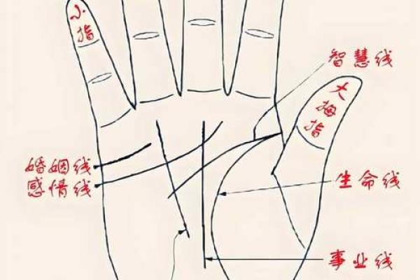 男人断掌手相算命,男人掌纹图解算命 男人断掌手相算命,男人掌纹图解算命