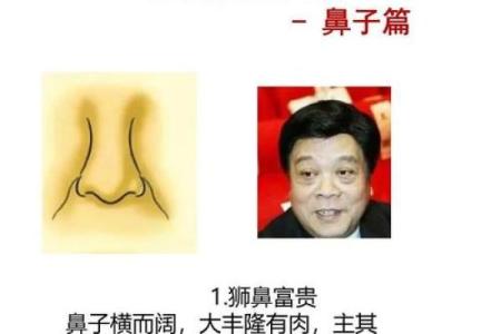 面相为什么断眉是富贵之相风水解答