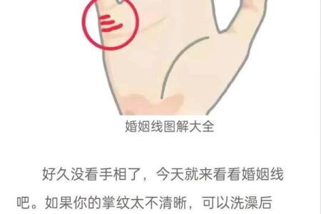 女人手相算命图解女人婚姻 婚姻线看感情生活