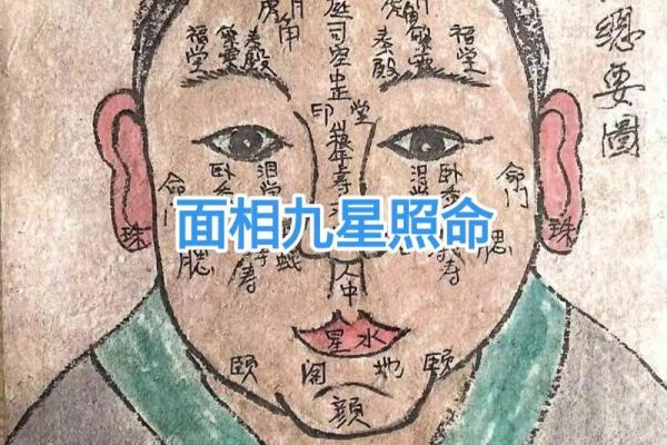 面相算命入门什么是三停 面相基础知识