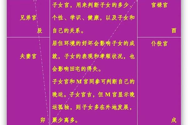 紫微斗数继父 紫微斗数看父母再婚？