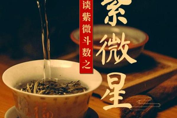 帝星紫薇星的寓意和象征是什么意思