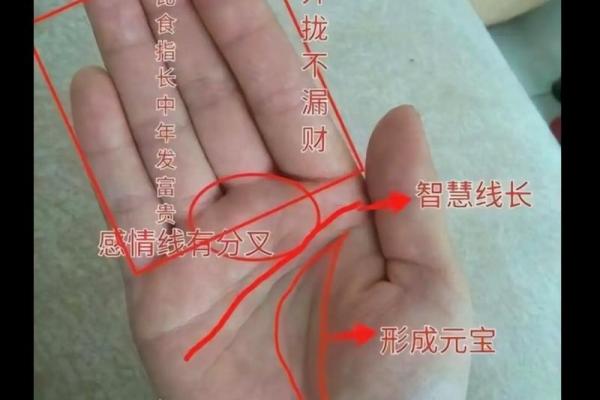 看手相算命：第四课 论事业命运