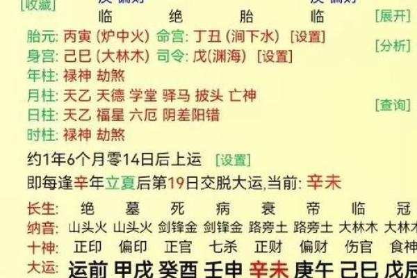 八字癸巳什么意思