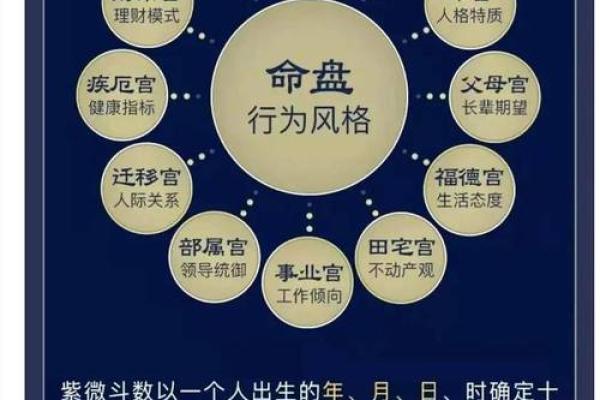 紫薇斗数中官禄 紫薇斗数中官禄