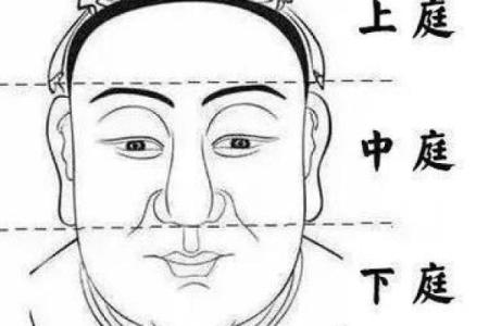 面相算命入门什么是三停 面相基础知识