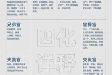 紫微斗数继父 紫微斗数看父母再婚？