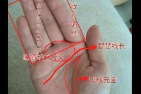 看手相算命：第四课 论事业命运