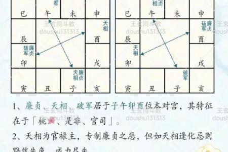 紫薇斗数学法律