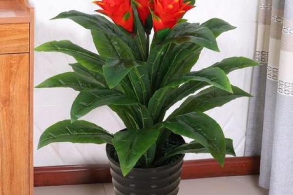 假花放在哪里不会影响家里风水呢