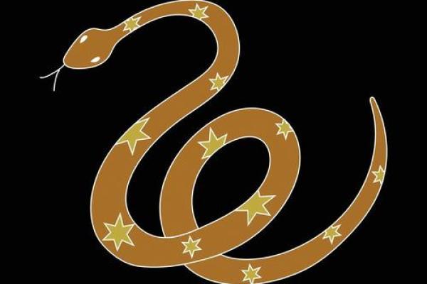 十二生肖子平算命，生肖牛的宇宙密码符号